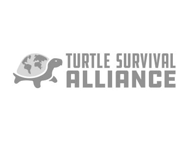 Turtle Survival Alliance